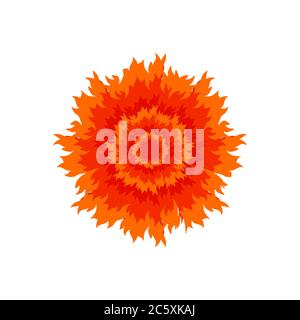 Blume Feuer Design Vektor Illustration Stock Vektor