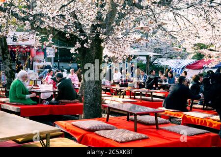 Kyoto, Japan - 8. April 2019: Kirschblütenfest im Maruyama-Park Stockfoto