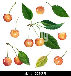 Set von süßen Kirschen. Kirsche und Blätter, isoliert auf weißem Hintergrund. Aquarell bunte Original-Illustration. Stockfoto