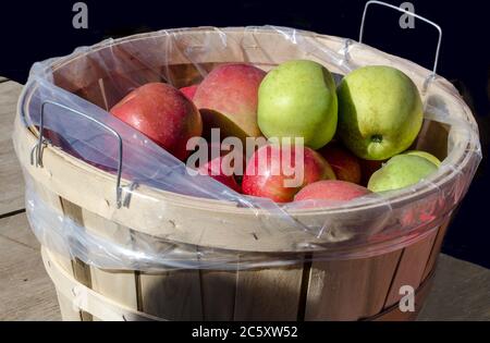 Korb voller köstlicher Michigan Äpfel in roten und grünen Sorten Stockfoto