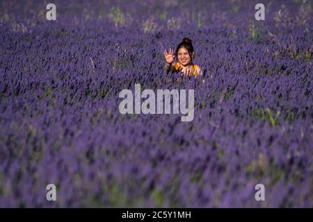 Brihuega, Guadalajara, Spanien. Juli 2020. Asiatische Touristen Gesten, wie sie sich von einem Freund in einem Lavendelfeld während Sonnenuntergang in der Nähe des Dorfes Brihuega, einer der größten Plantagen von Lavendel in Spanien, die in den kommenden Tagen geerntet werden aufgenommen. Quelle: Marcos del Mazo/Alamy Live News Stockfoto