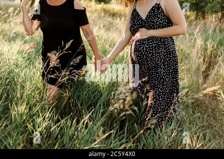 Mutter und schwangere Tochter halten die Hände und gehen durch Grasfeld Stockfoto