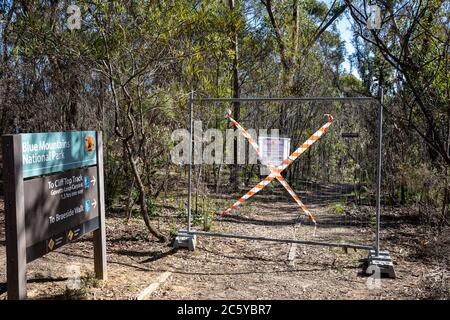 Nach 2020 Buschbränden in Blue Mountains NSW bleiben einige Wanderwege wegen der Gefahr fallender Bäume geschlossen, Australien Stockfoto