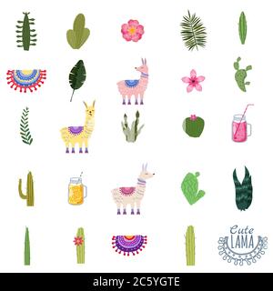 Set Lama Kakteen Getränke und dekorativ. Sammlung von Elementen für die Dekoration Stock Vektor