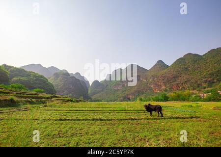 Bamei Dorf, ein verstecktes Dorf in den Bergen in der Provinz Yunnan, China. Stockfoto