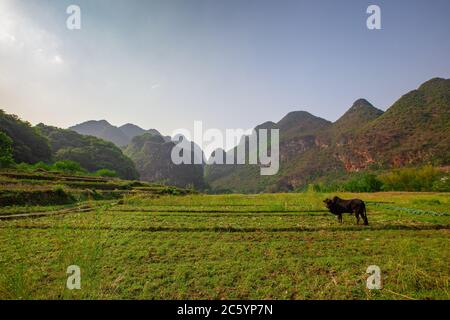 Bamei Dorf, ein verstecktes Dorf in den Bergen in der Provinz Yunnan, China. Stockfoto
