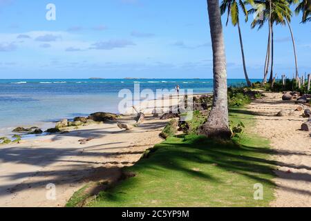 Der Blick auf den wunderschönen tropischen Strand in Las Terrenas, Dominikanische Republik Stockfoto