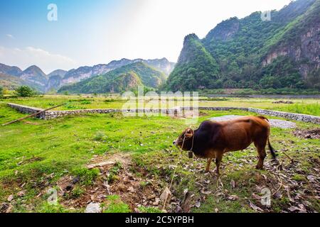 Bamei Dorf, ein verstecktes Dorf in den Bergen in der Provinz Yunnan, China. Stockfoto