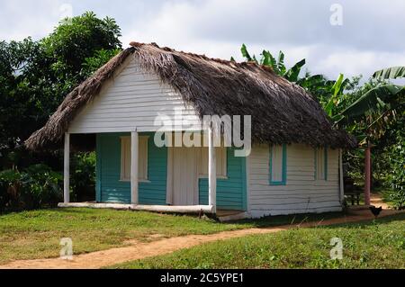 Blick auf das traditionelle Holzhaus im Tabaktal Viniales, Kuba Stockfoto