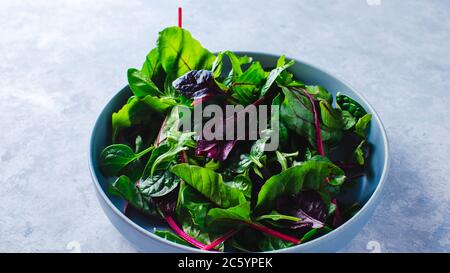 Mangold Salat in einer blauen Schüssel Draufsicht Stockfoto