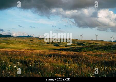 Eine große Anzahl von Windturbinen steht bei Sonnenuntergang im Feld, eine Skyline mit blauem Himmel und Samtwolken. Stockfoto