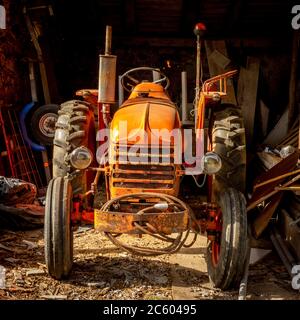 Ungebrauchter orangefarbener Traktor auf einem Bauernhof, Auvergne Rhone Alpes, Frankreich Stockfoto