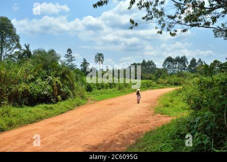 Unbefestigte Straße im Dschungel von Uganda, Afrika Stockfoto