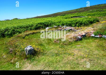 Holyhead Mountain Hut Circles sind eine Gruppe prähistorischer Hütten in der Nähe von Trearddur auf Holy Island, Anglesey, Wales, Großbritannien. Stockfoto