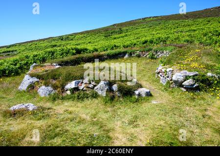 Holyhead Mountain Hut Circles sind eine Gruppe prähistorischer Hütten in der Nähe von Trearddur auf Holy Island, Anglesey, Wales, Großbritannien. Stockfoto