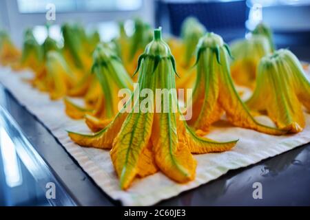 Zucchini Blumen Nahaufnahme Stockfoto