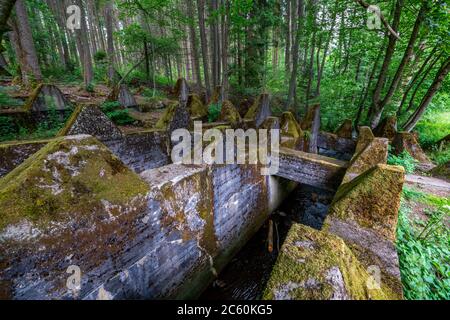 Reste der Westwand über dem Grönisbach, bei Roetgen, 100 Meter lange Panzerabwehr durch ein kleines Tal, erbaut 1939, Eifel, NRW, Deutschland Stockfoto