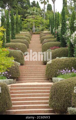 Jardin Botanico Mar i Murtra, Mittelmeer-Zypresse Cupressus sempervirens stricta, Blanes Stockfoto