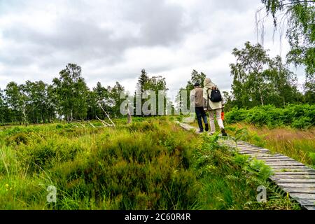 Holzplankenweg im Naturschutzgebiet Struffelt, bei Roetgen-Rott, Teil des Fernwanderweges Eifelsteig, Naturpark hohes Venn-Eifel, Stockfoto