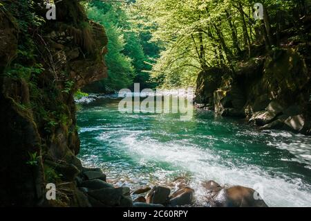 Blaue Lagune, Gebirgsfluss zwischen den Felsen im Wald Stockfoto