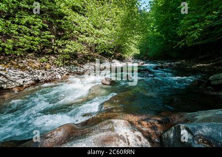 Blaue Lagune, Gebirgsfluss zwischen den Felsen im Wald Stockfoto