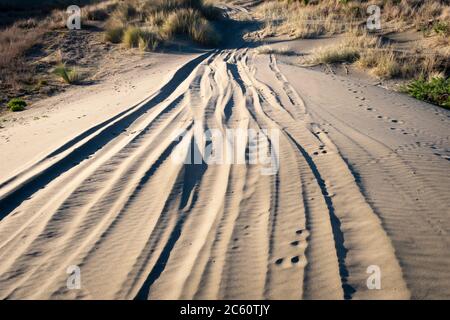 Geländewagen in Sanddünen in der Nähe von Himatangi Beach, Manawatu, North Island, Neuseeland Stockfoto