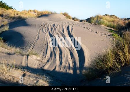 Geländewagen in Sanddünen in der Nähe von Himatangi Beach, Manawatu, North Island, Neuseeland Stockfoto