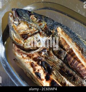 Gegrillter Seebarsch Fisch auf der Metallplatte, mediterrane Küche, Attika, Griechenland Stockfoto