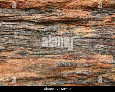 Verkieseltes Holz (Struktur/Hintergrund) Stockfoto