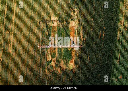 Luftaufnahme von Strommasten in landwirtschaftlichen Feldern, die Schatten auf Feldfrüchten werfen, Draufsicht Drohnenfotografie Stockfoto