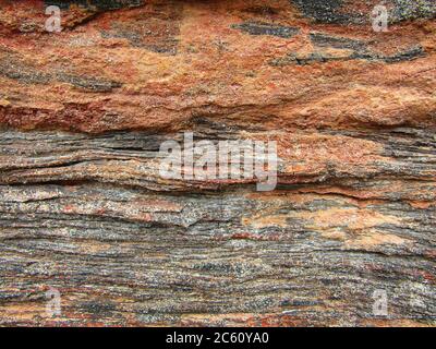 Verkieseltes Holz (Struktur/Hintergrund) Stockfoto