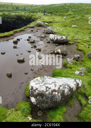 Süßwasserpools auf der Insel Enderby, Teil der Auckland Islands, Neuseeland. Einschließlich einiger moosbedeckter Felsen. Stockfoto