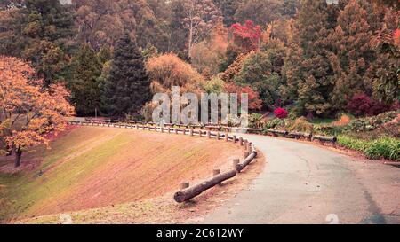 Mount Lofty botanischen Garten im Herbst, Adelaide Hills, South Australia Stockfoto