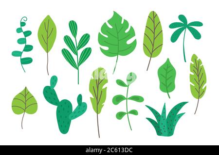 Tropische Blätter auf weißem Hintergrund isoliert gesetzt. Tropic Laub Kollektion für Dekoration für Karten, Banner, Poster, Produktverpackungen. Vektor Stock Vektor