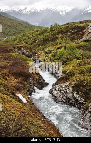 Tundra biome Landschaft in Norwegen. Bergbach im Aurlandsfjellet. Stockfoto