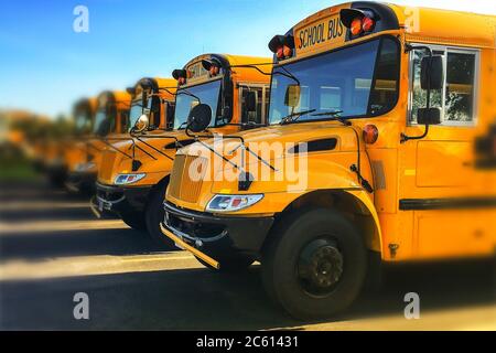 Niedrige Ansicht des vorderen Endes der gelben öffentlichen Schulbusse, die in einer Reihe von der Fahrerseite aus gesehen geparkt sind Stockfoto