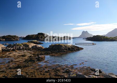 Norwegen Fischfarmen in Lofoten Inseln. Lachsfarm in der Arktis Norwegen. Stockfoto