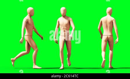 Dummy, Schaufensterpuppe isolieren auf grünem Bildschirm. 3d-Rendering. Stockfoto