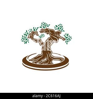 Japanischer Bonsai-Baum-Logo, Pflanzen-Silhouette-Symbole auf weißem Hintergrund, grüne Ökologie Silhouette von Bonsai und Sonnenuntergang. Detailbild. Bio Natur conce Stock Vektor