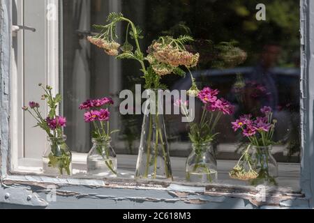 Blumen in kleinen Glasflaschen an einem Fenster Stockfoto