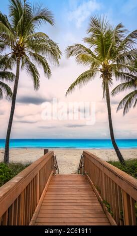 Holzsteg Zugang zum Hollywood Strand mit wehenden Kokospalmen an einem schönen Sommertag in Florida, USA. Stockfoto