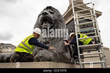 Arbeiter putzen und polieren eine der vier Löwen-Statuen am Fuß der Nelson-Säule im Trafalgar Square in London. Stockfoto