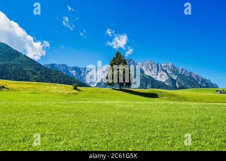 Landschaftsansicht am Walchsee bei Koessen am Wilden und Zahmer Kaiser in Tirol, Österreich. Stockfoto