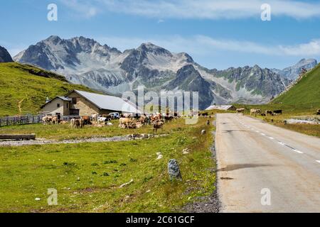 Blick auf den albulapass im Kanton graubünden - schweiz, europa Stockfoto