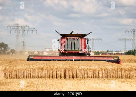 Leipzig, Deutschland. Juni 2020. Ein Mähdrescher bei der Gerstenernte. Quelle: Jan Woitas/dpa-Zentralbild/dpa/Alamy Live News Stockfoto