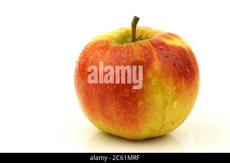 Frischer Elstar-Apfel auf weißem Hintergrund Stockfoto