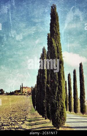 Idyllische toskanische Landschaft mit Feldweg und Zypresse in der Nähe von Pienza, Vall d'Orcia Italien, Europa Stockfoto