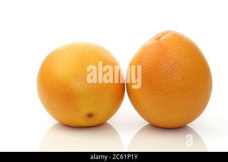 Zwei rote Grapefruits auf weißem Hintergrund Stockfoto