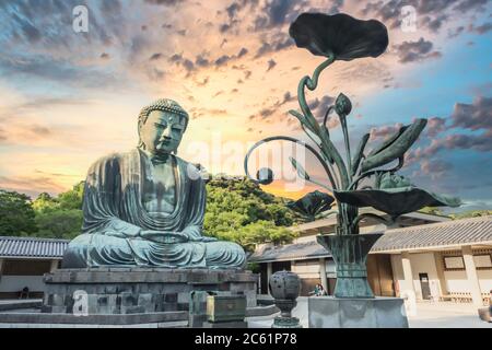 Die riesige buddha-Statue in der goldenen Stunde in kamakura japan Stockfoto