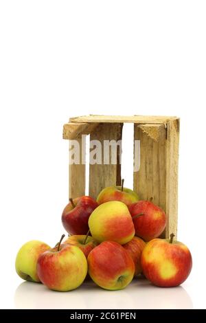 Frische rote und gelbe Äpfel aus einer Holzkiste auf weißem Grund Stockfoto